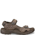 Ecco Offroad